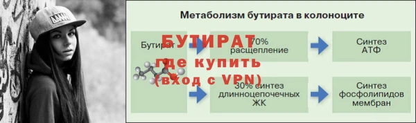 индика Володарск